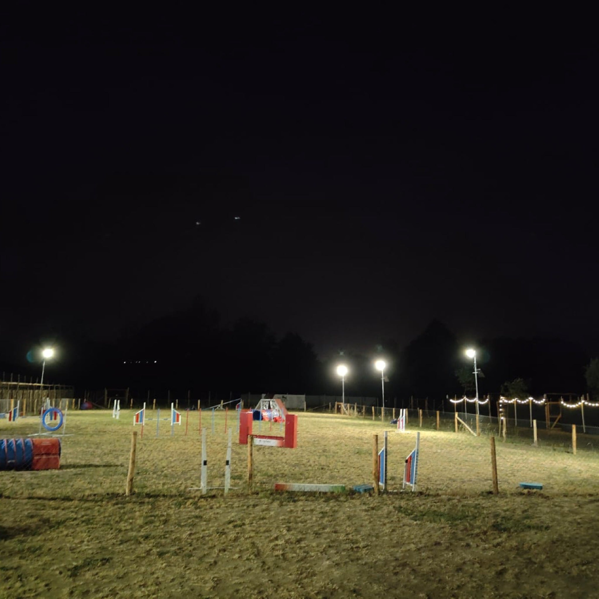 Illuminazione campo cinofilo con fari ad energia solare da 3280 lumen