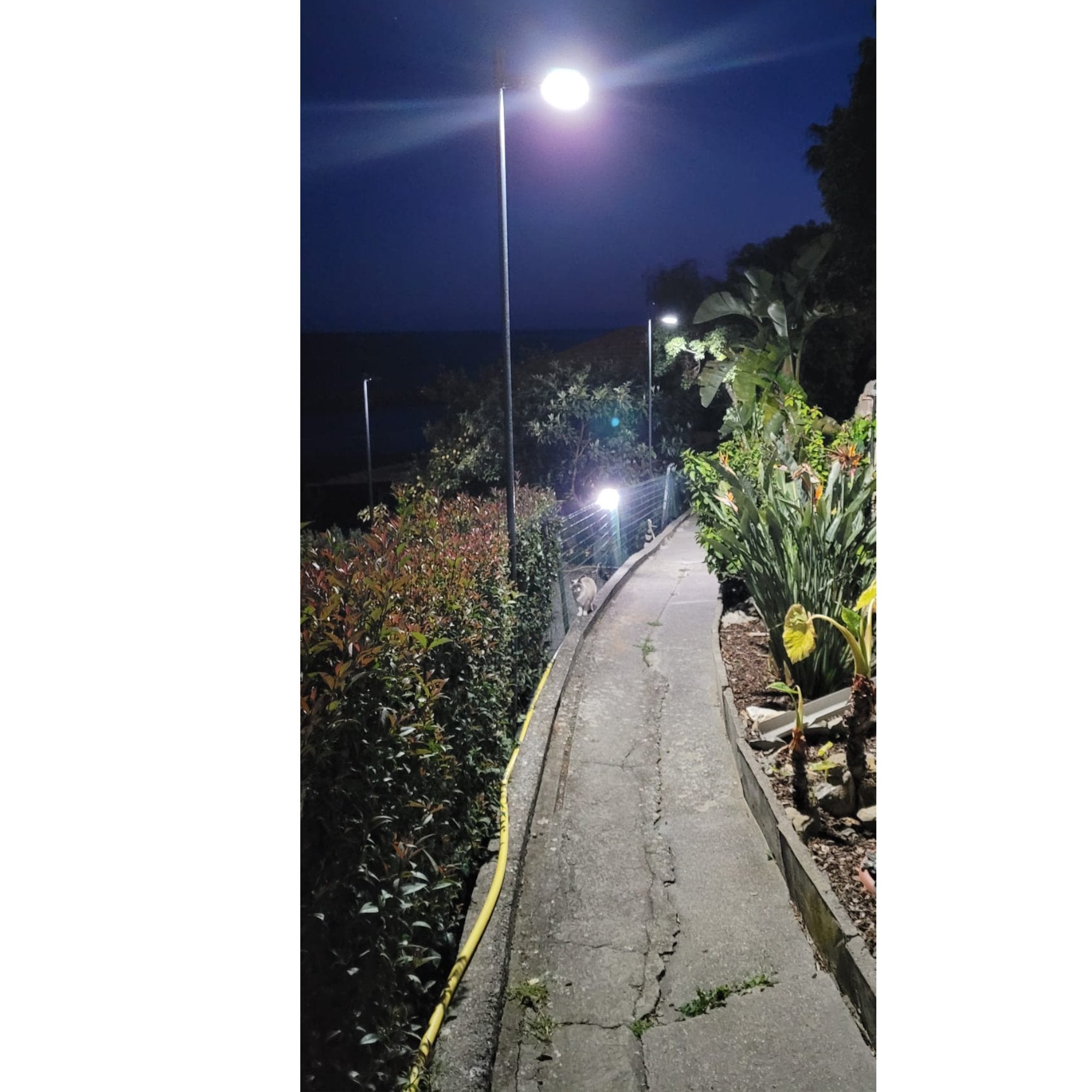 viale illuminato con lampione solare potente ad energia solare 2000 lumen