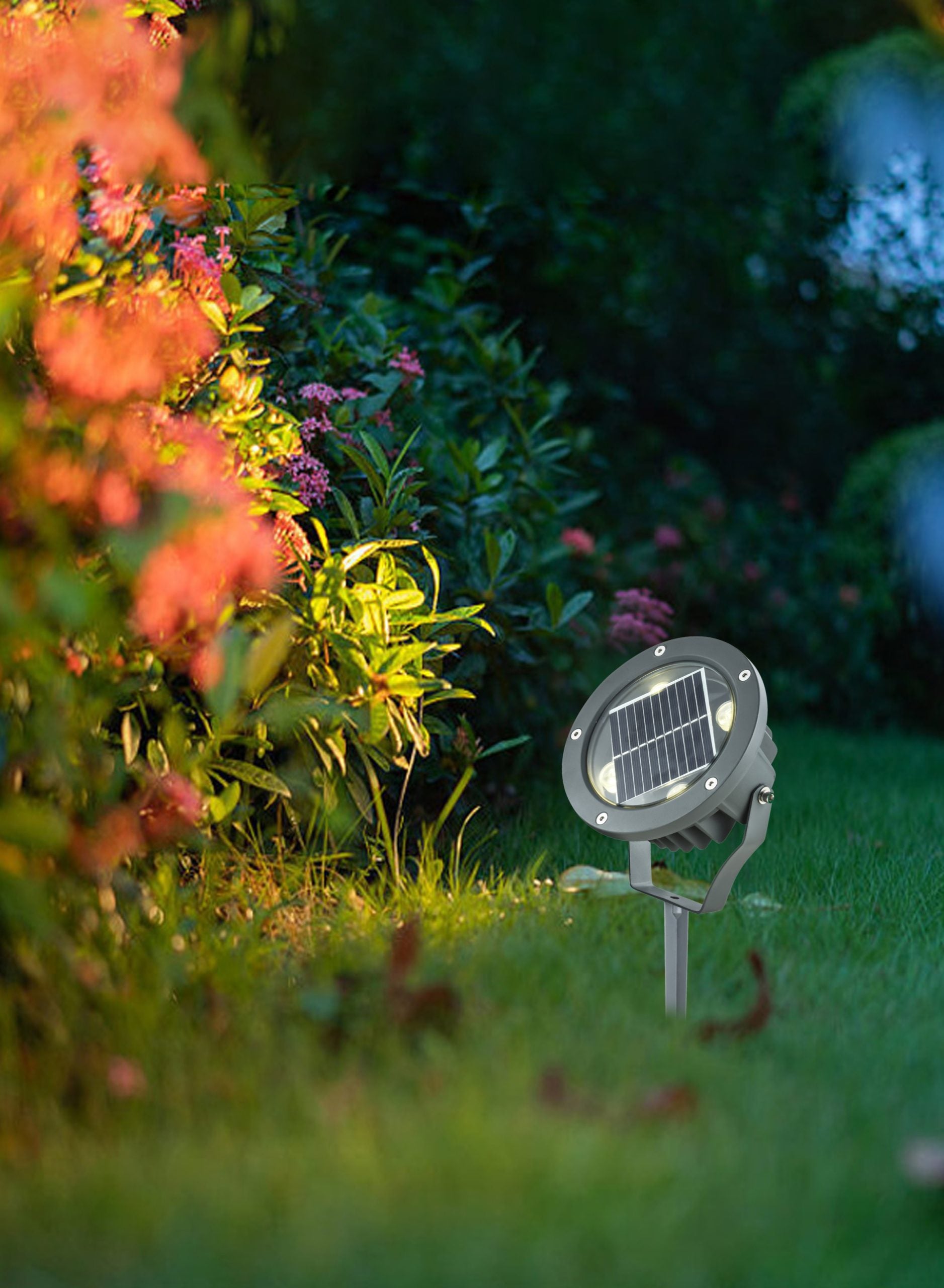 Arbusto illuminato con una faremo solare da giardino con picchetto