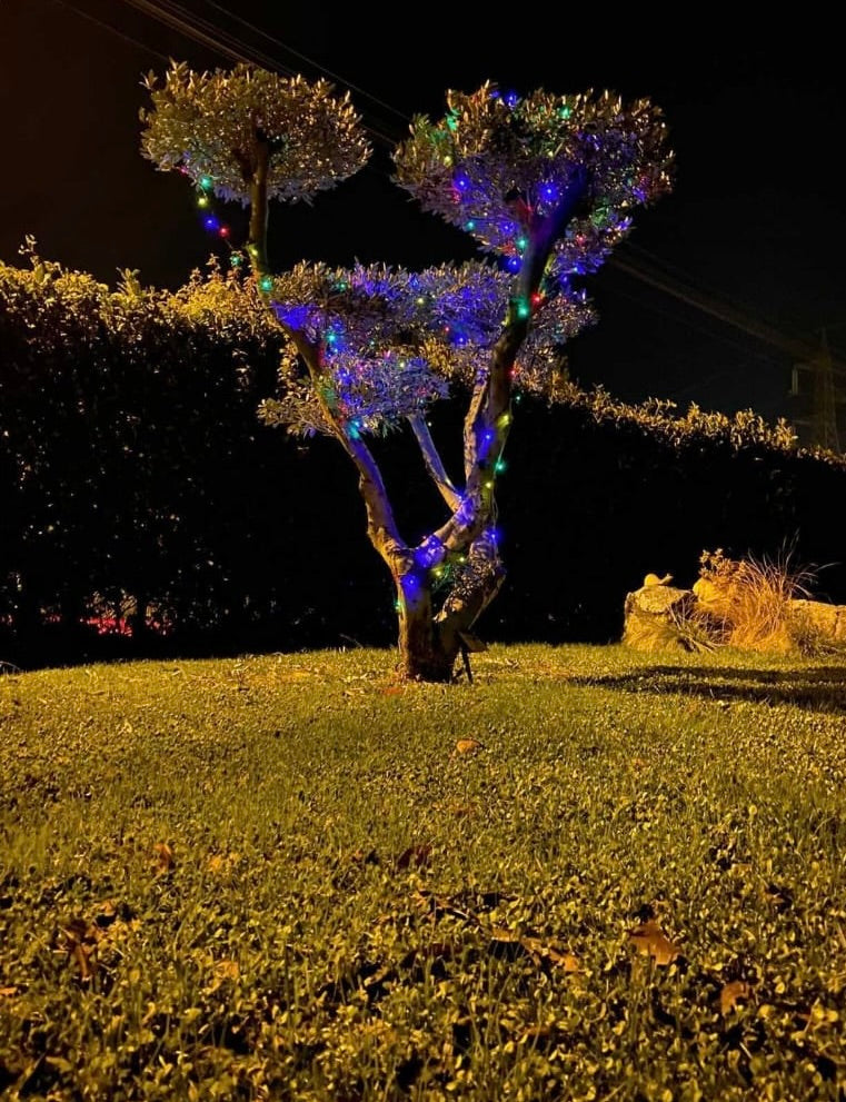 Illuminazione albero esterno con luci di natale ad energia solare