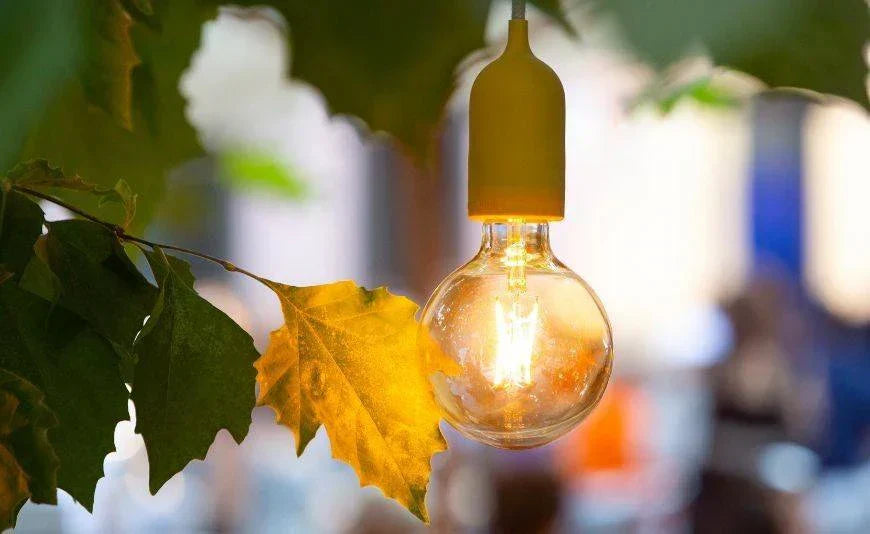 Scegli la giusta Lampada ad Energia Solare per il tuo giardino 