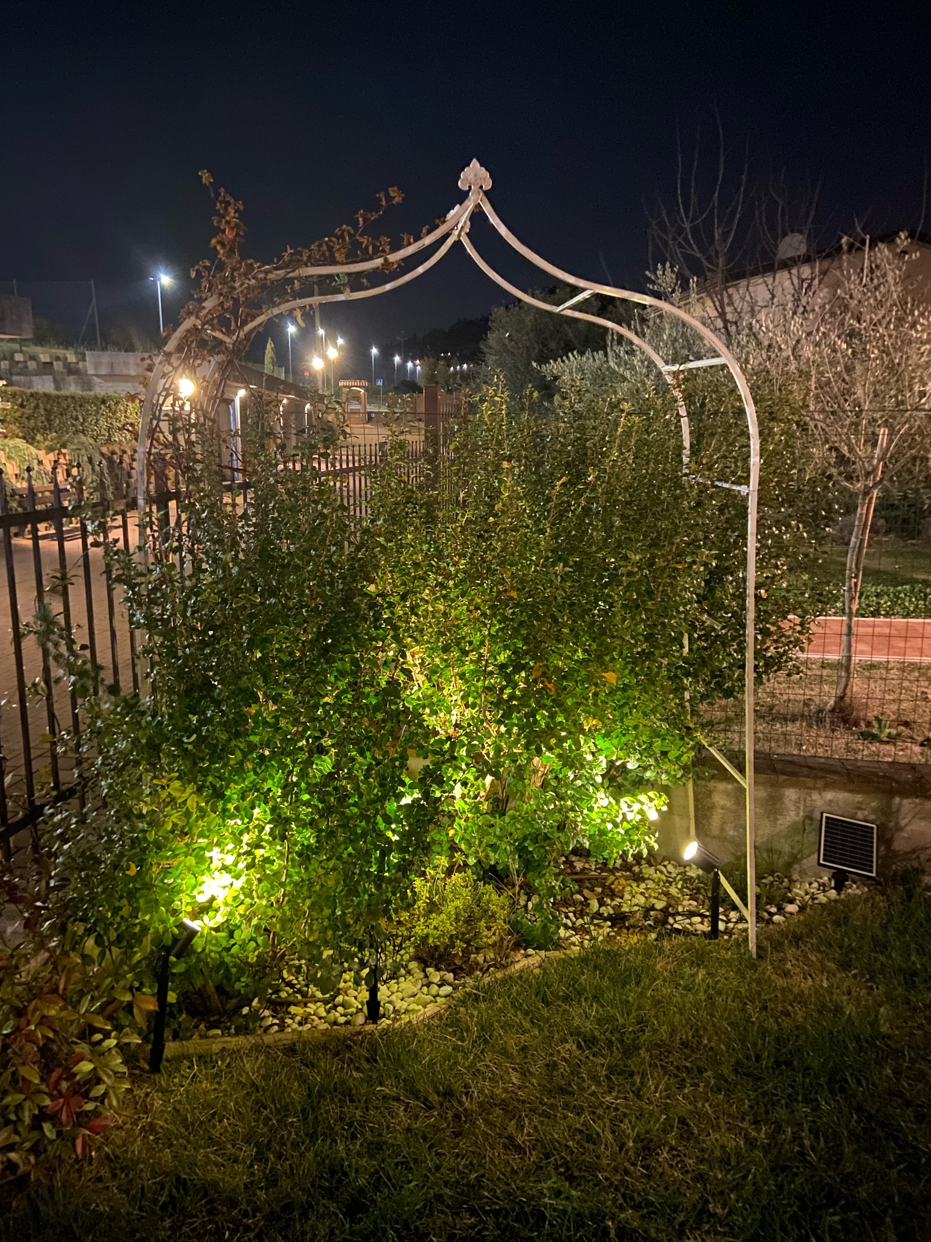 Come illuminare piante e aiule con luci solari per aiuole