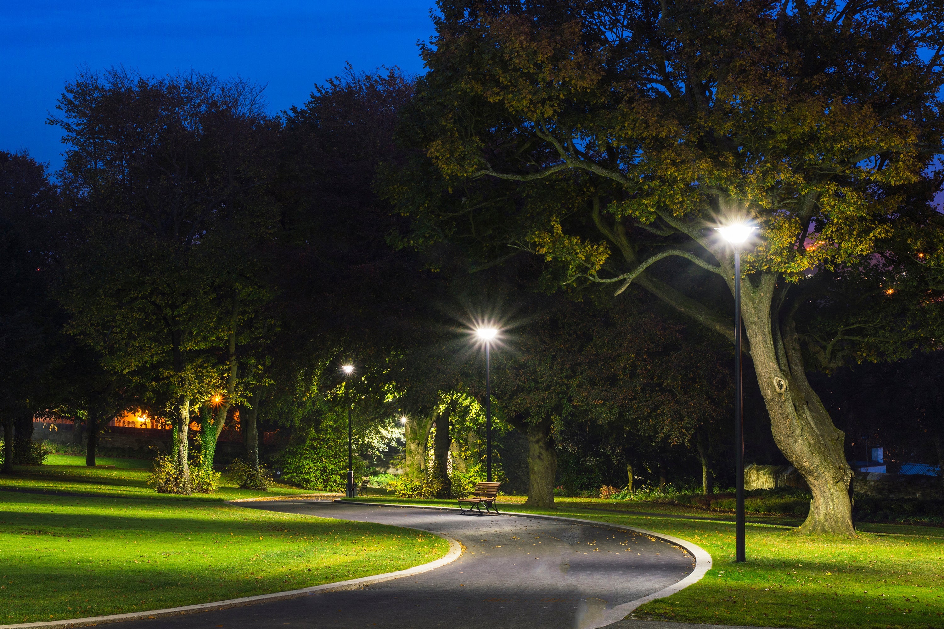 illuminazione di un viale con lampioni ad energia solare