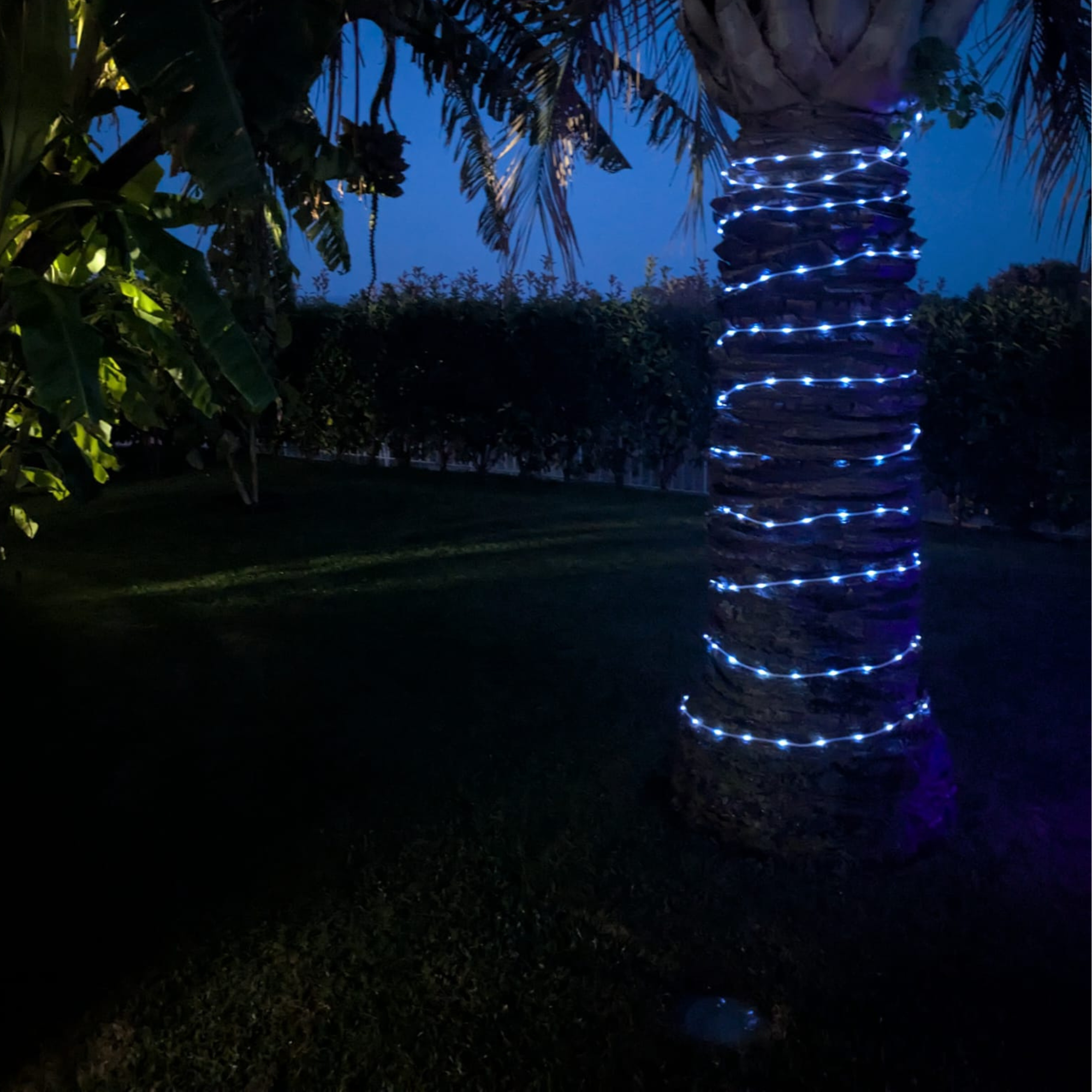 illuminazione con luci di natale ad energia solare 