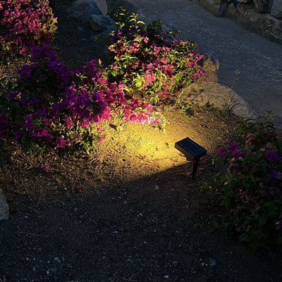 illuminazione arbusti in giardino con faro ad energia solare, Pannello incorporato, colore della luce bianco caldo, 500 lumen di flusso luminoso 