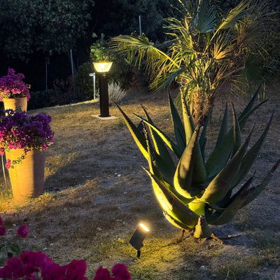 metti in risalto piante ed arbusti con il faretto ad energia solare con pannello incorporato, 500 lumen, 3000k bianco caldo 
