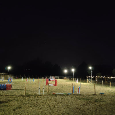 Illuminazione campo cinofilo con fari ad energia solare da 3280 lumen