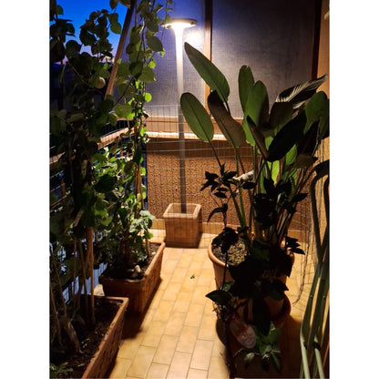 illuminazione terrazzo con lampione ad energia solare con pannello fotovoltaico incorporato. Flusso luminoso 2000 lumen, sensore di movimento e sensore crepuscolare. 3 Modalità di funzionamento