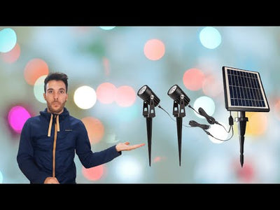 Video faretti solari con picchetto per arbusti